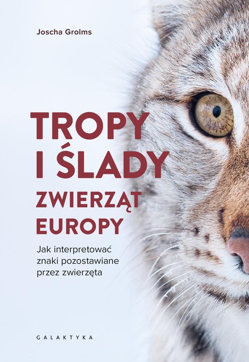 Tropy i ślady zwierząt Europy