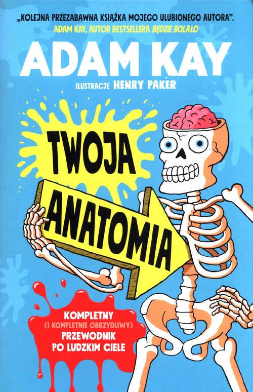 Twoja anatomia