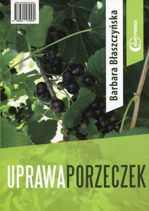 Uprawa porzeczek