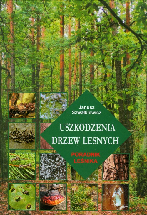 Uszkodzenia drzew leśnych