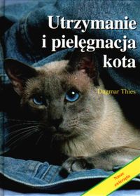 Utrzymanie i pielęgnacja kota