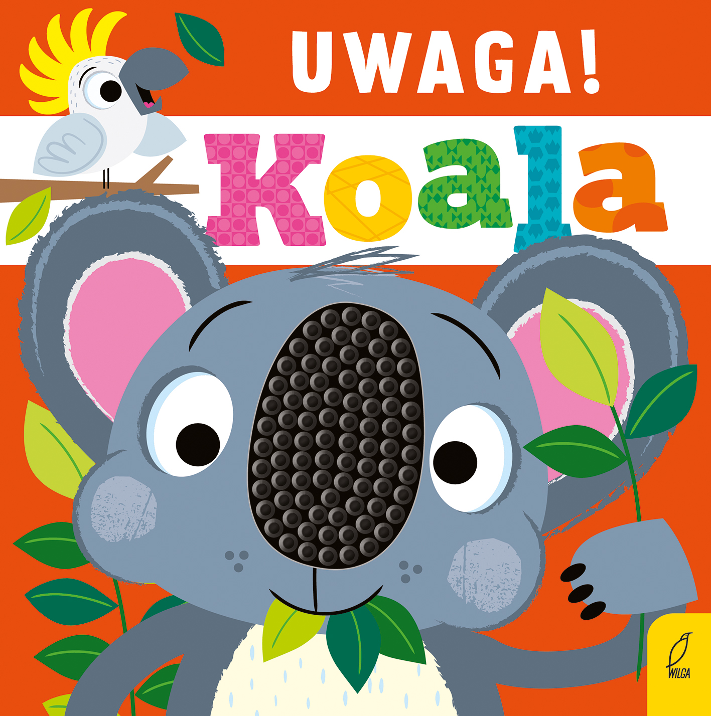 Uwaga! Koala