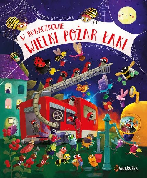 W Robaczkowie Wielki pożar łąki