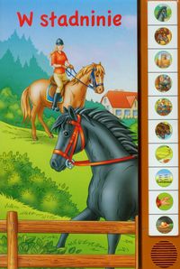 W stadninie dźwiękowa