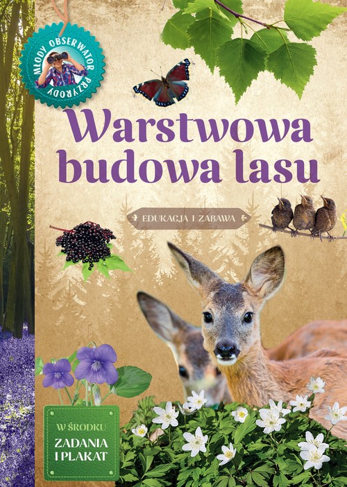 Warstwowa budowa lasu