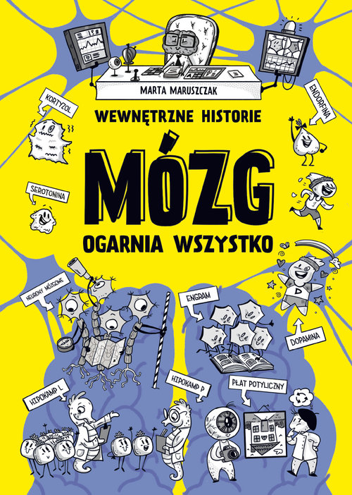 Wewnętrzne historie Mózg ogarnia wszystko