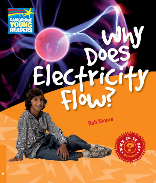 Why Does Electricity Flow?