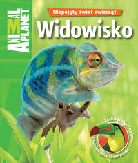 Widowisko
