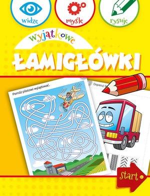 Widzę, myślę, rysuję. Wyjątkowe łamigłówki