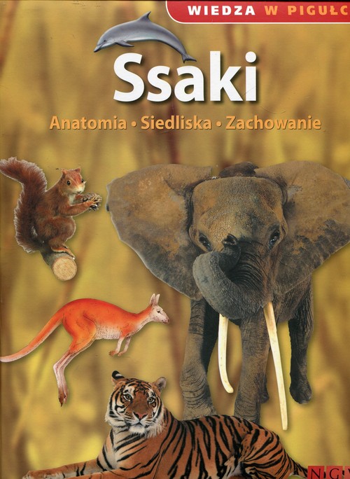 Wiedza w pigułce Ssaki