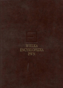 Wielka encyklopedia PWN - tom 1 (A - analiza nakładów)