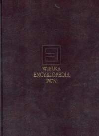 Wielka encyklopedia PWN - tom 8 (Dżami-fenianie)