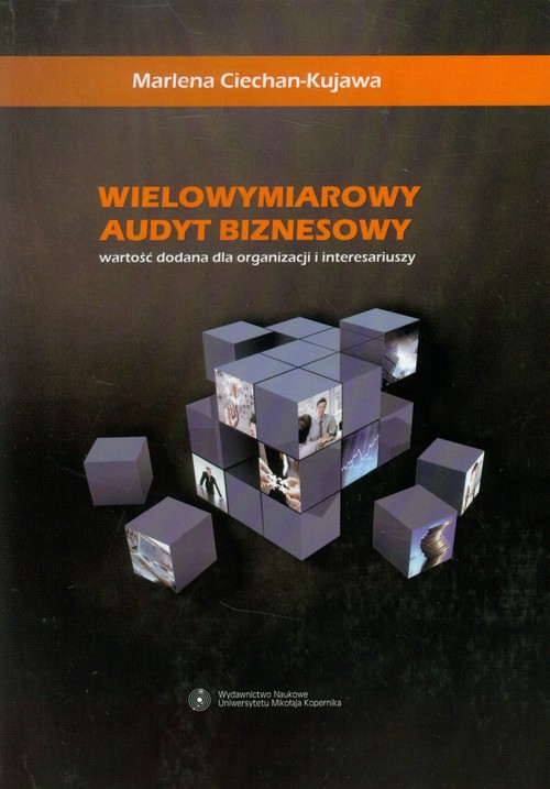 Wielowymiarowy audyt biznesowy