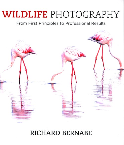 Wildlife Photography