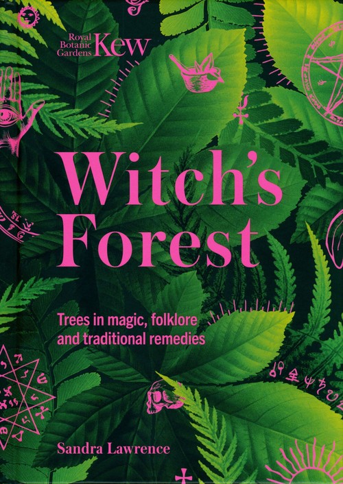 Witch's Forest