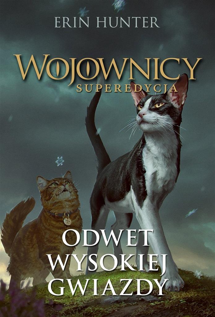 Wojownicy Superedycja Odwet wysokiej gwiazdy