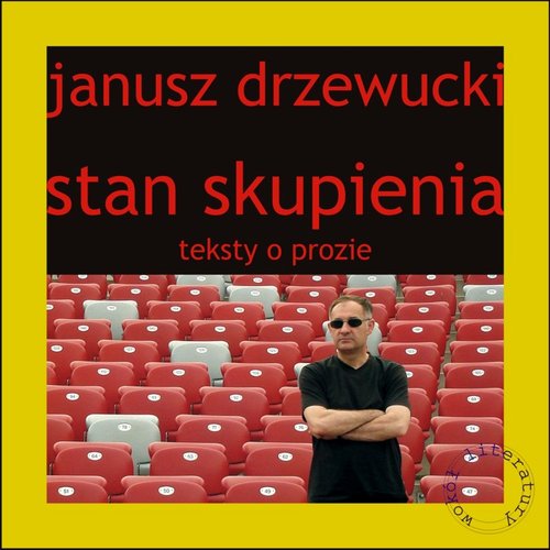 Wokół literatury. Stan skupienia. Teksty o prozie