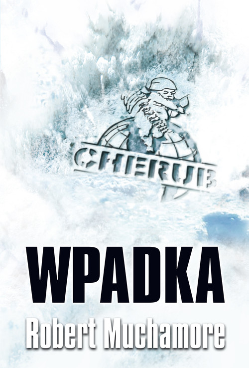 Wpadka