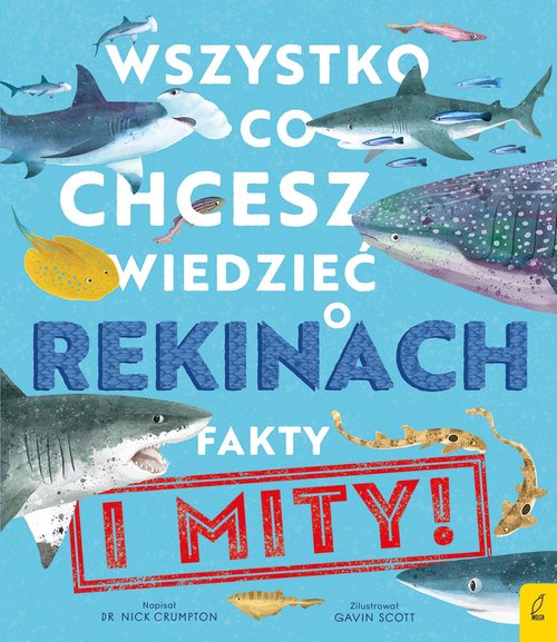 Wszystko co chcesz wiedzieć o rekinach