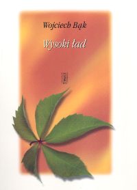 Wysoki ład