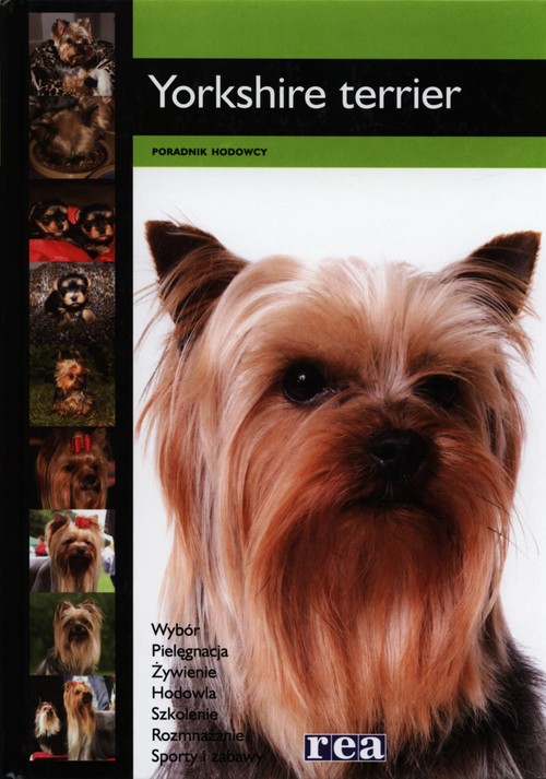 Yorkshire terrier - poradnik hodowcy