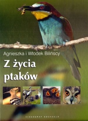 Z życia ptaków