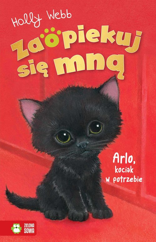Zaopiekuj się mną Arlo, kociak w potrzebie