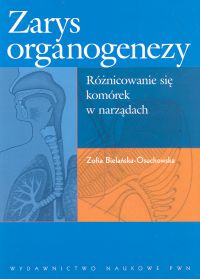 Zarys organogenezy