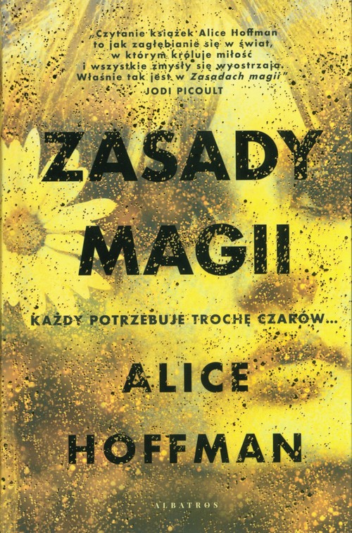 Zasady magii