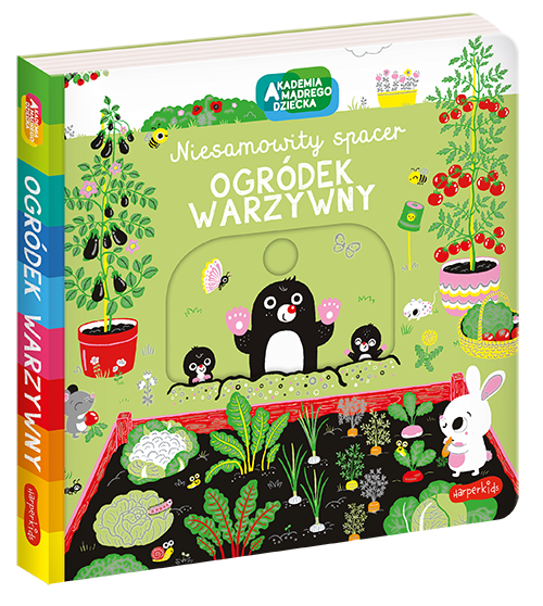 [Zestaw] Ogródek warzywny + Rzeka. Akademia mądrego dziecka. Niesamowity spacer