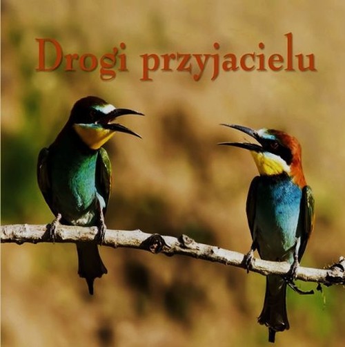 Ziarenka 10 Drogi przyjacielu