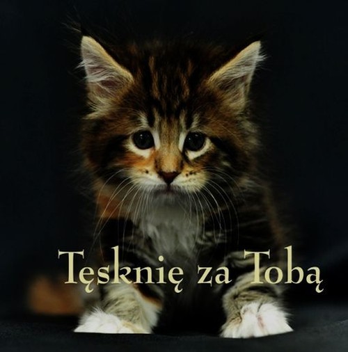 Ziarenka 17 Tęsknię za Tobą