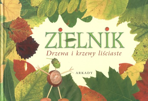 Zielnik. Drzewa i krzewy liściaste