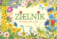 Zielnik Kwiaty pól i łąk