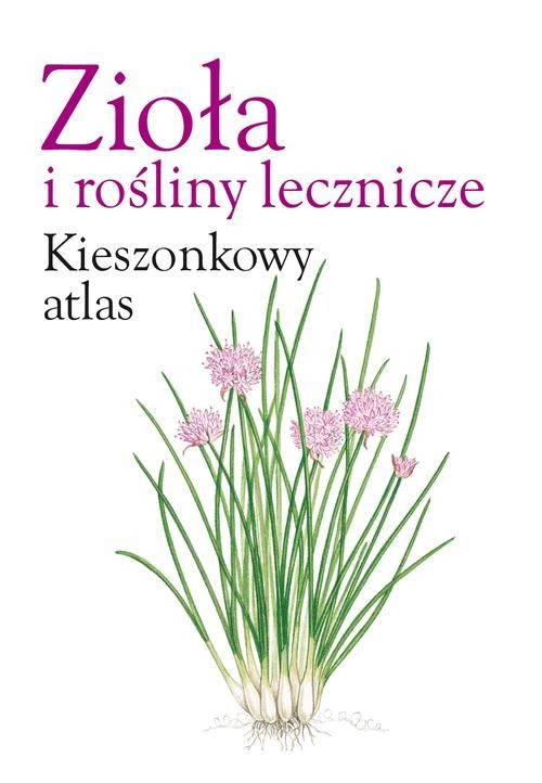 Zioła i rośliny lecznicze Kieszonkowy atlas