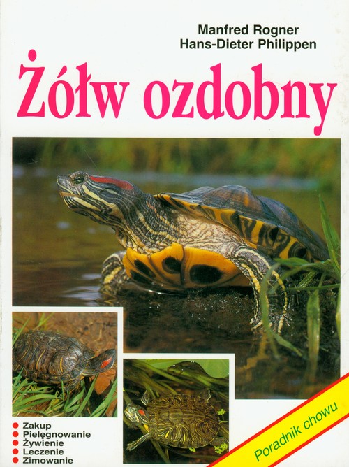 Żółw ozdobny