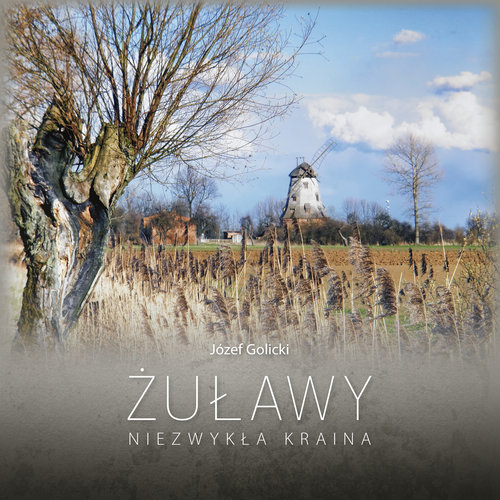 Żuławy