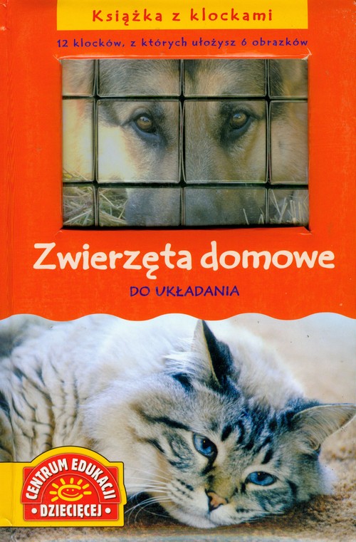 Zwierzęta domowe - książka z klockami