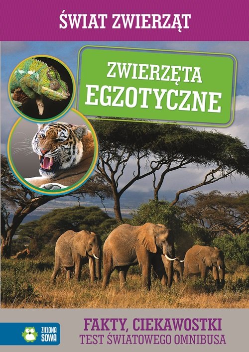 Zwierzęta Egzotyczne Świat Zwierząt