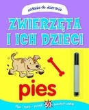 Zwierzęta i ich dzieci. Zadania do ścierania