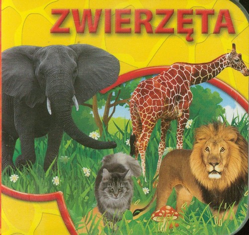 Zwierzęta Książeczki kartonowe