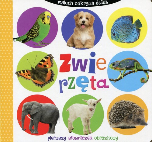 Maluch odkrywa świat. Zwierzęta. Pierwszy słowniczek obrazkowy
