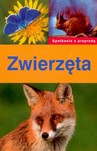 Zwierzęta -  spotkania z przyrodą