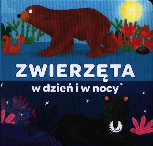 Zwierzęta w dzień i w nocy
