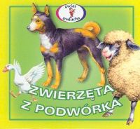 Zwierzęta z podwórka