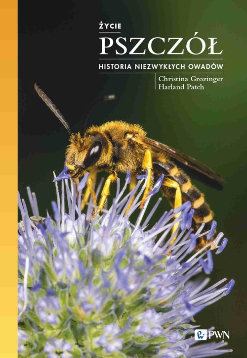 Życie pszczół Historia niezwykłych owadów